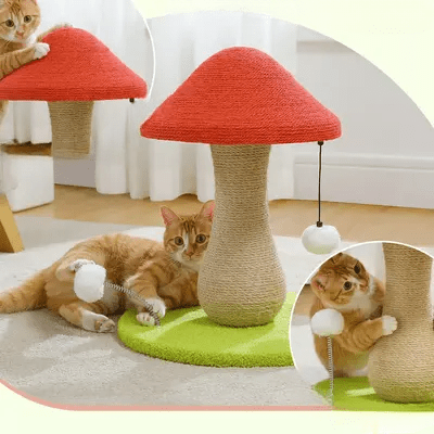 Arbre à Chat - MushroomCatTower™ - Happy Miaou