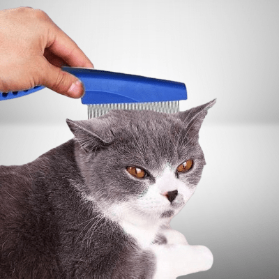 Brosse Chat - CatSheddingHairComb™ - Bleu - Happy Miaou