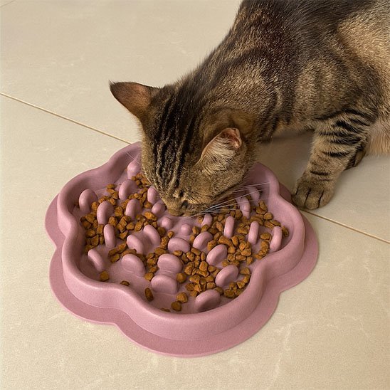 Gamelle Anti Glouton Chat | DigestSlow - Happy Miaou