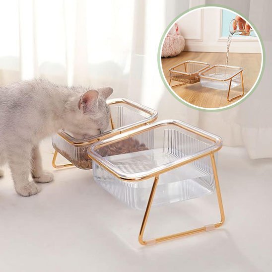 Gamelle chat | Design - Happy Miaou