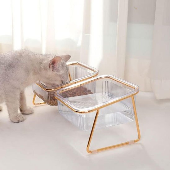 Gamelle chat | Design - Happy Miaou