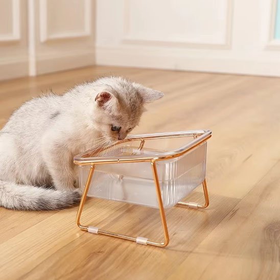 Gamelle chat | Design - Happy Miaou