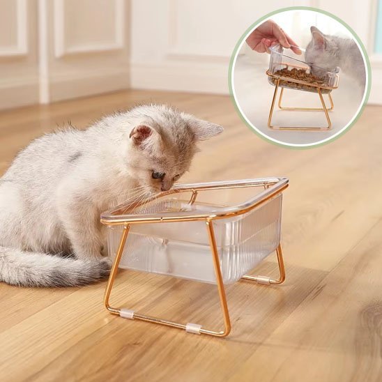 Gamelle chat | Design - Happy Miaou