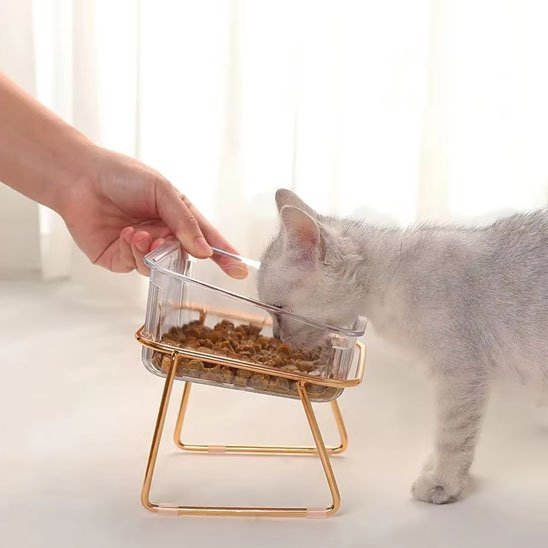 Gamelle chat | Design - Happy Miaou