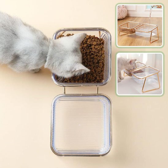 Gamelle chat | Design - Happy Miaou