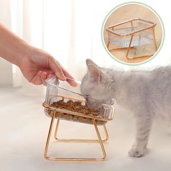 Gamelle chat | Design - Happy Miaou