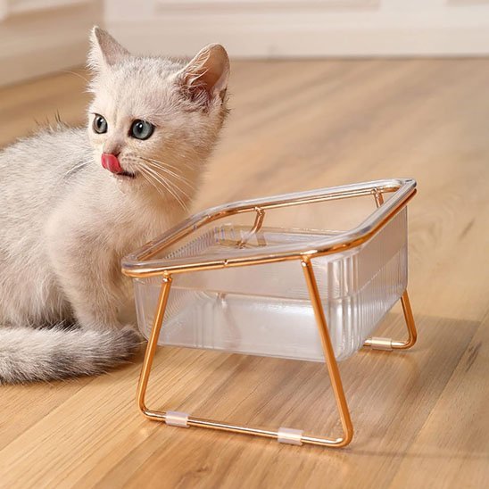 Gamelle chat | Design - Happy Miaou