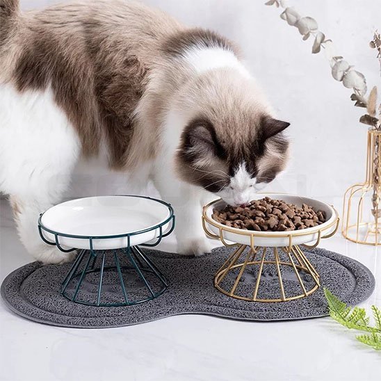 Gamelle chat | Ergonomique - Happy Miaou