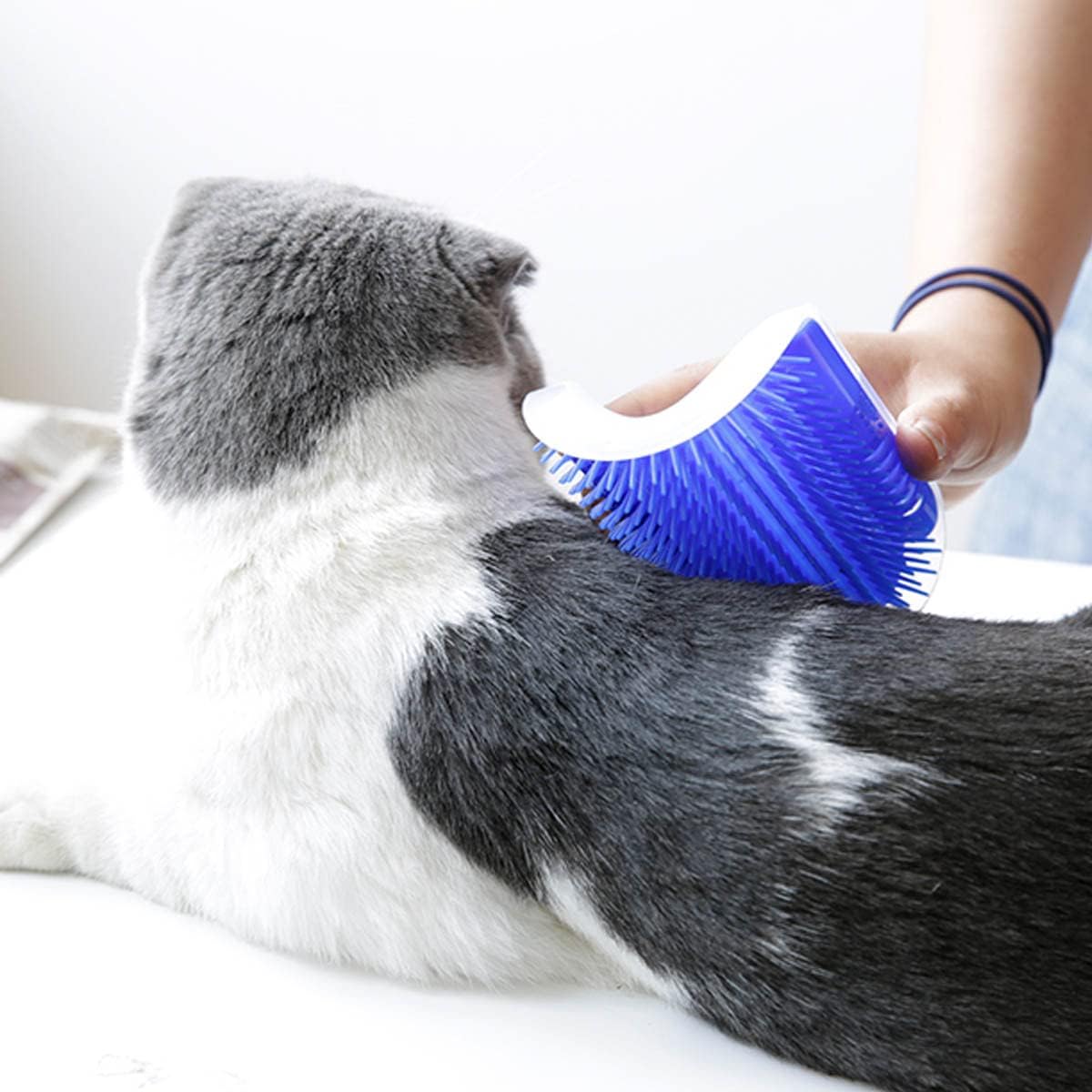 Grattoir Chat - PurrCornerGroomer™ - Bleu - Happy Miaou