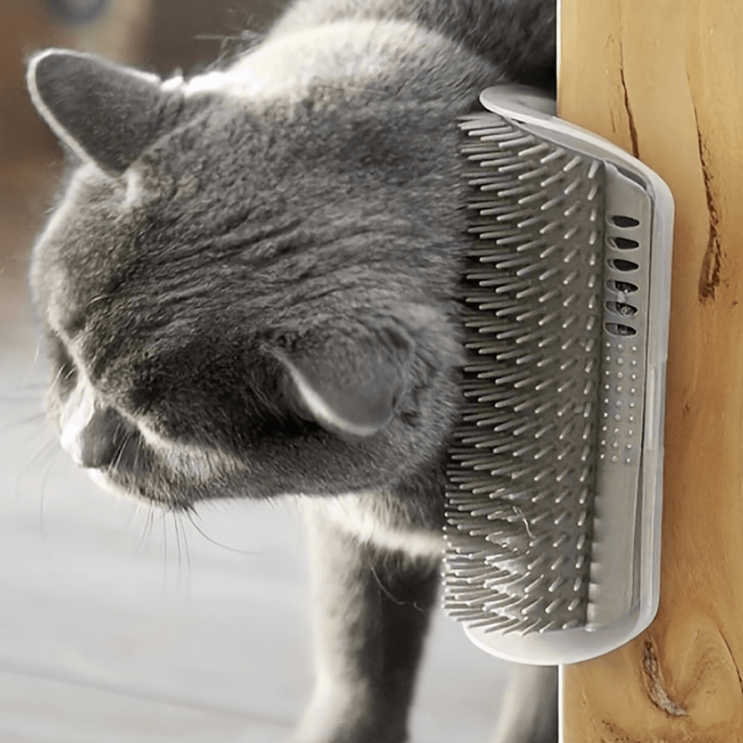 Grattoir Chat - PurrCornerGroomer™ - Gris - Happy Miaou
