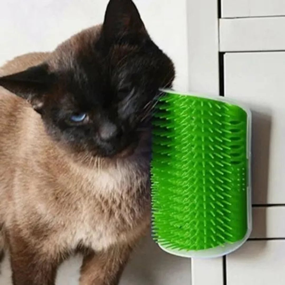Grattoir Chat - PurrCornerGroomer™ - Vert - Happy Miaou