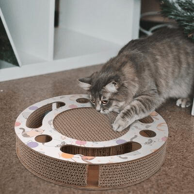 Grattoir Chat - PurrRoundScratcher™ - Chats & Balles - Happy Miaou