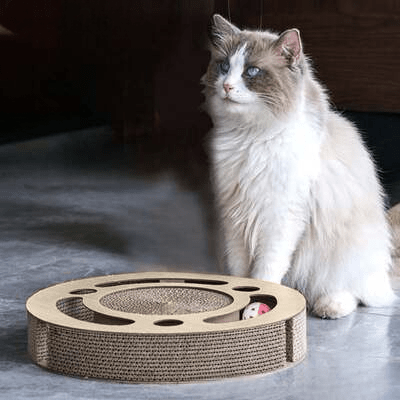 Grattoir Chat - PurrRoundScratcher™ - Minimaliste - Happy Miaou