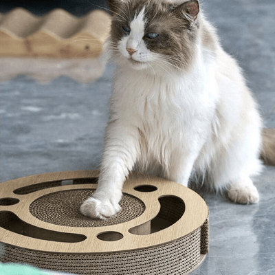 Grattoir Chat - PurrRoundScratcher™ - Minimaliste - Happy Miaou