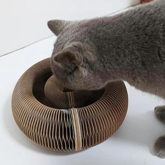 Griffoir pour chat | Circulaire Interactif - Happy Miaou