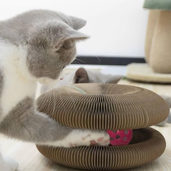 Griffoir pour chat | Circulaire Interactif - Happy Miaou