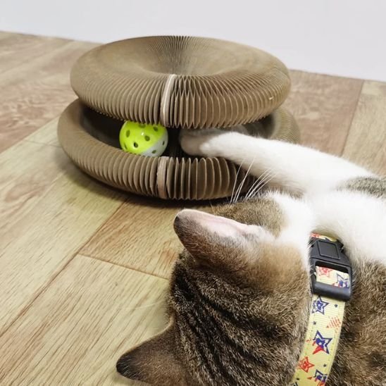Griffoir pour chat | Circulaire Interactif - Happy Miaou