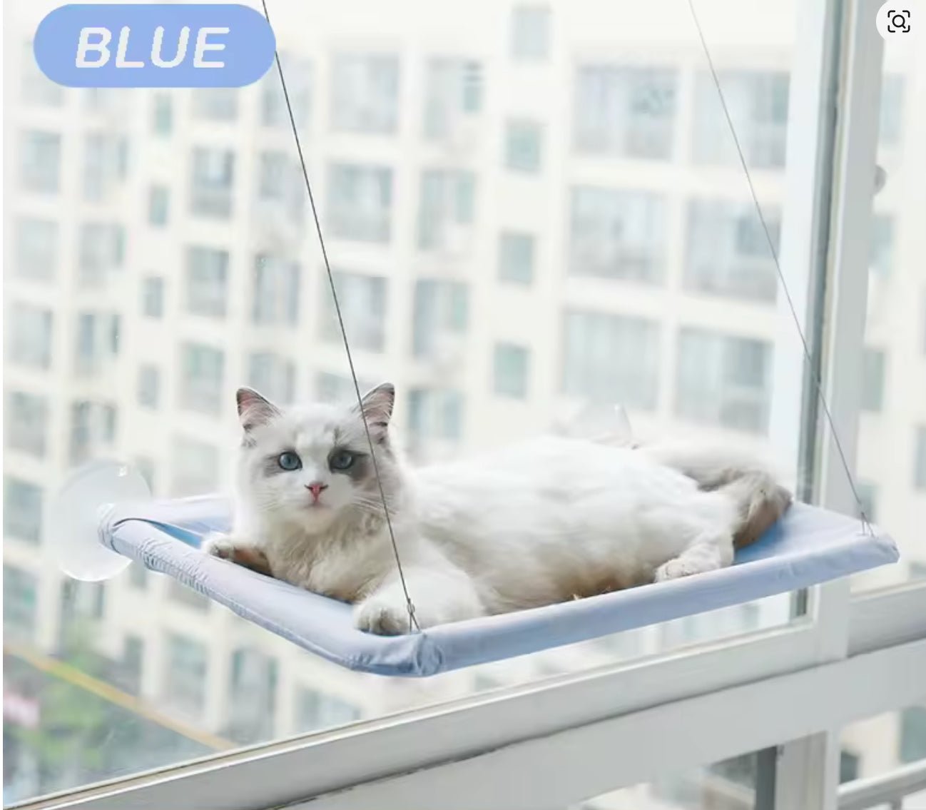 Hamac Chat FenĂȘtre | SunView - Happy Miaou