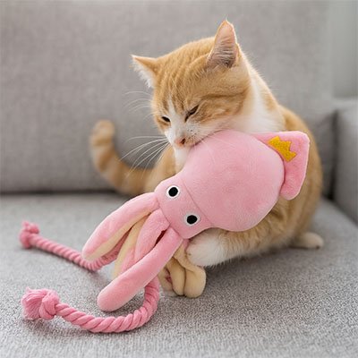 Jeux pour Chat | FélinActive - Happy Miaou