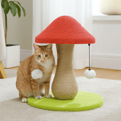Arbre à Chat - MushroomCatTower™ - Happy Miaou
