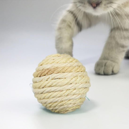 Balle pour chat | Interactive - Happy Miaou