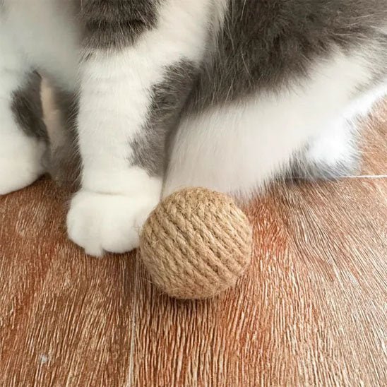 Balle pour chat | Interactive - Happy Miaou