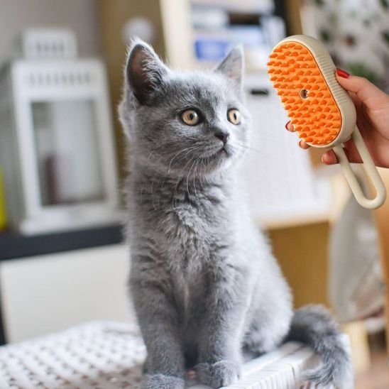 Brosse chat | AntiPoils - Happy Miaou