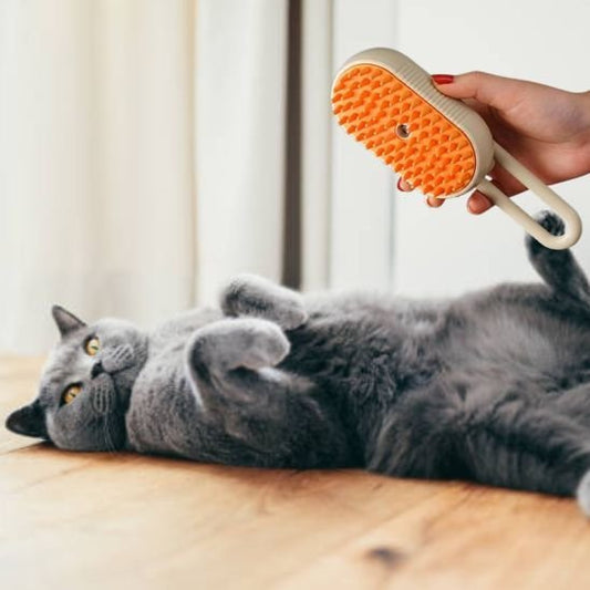 Brosse chat | AntiPoils - Happy Miaou