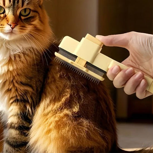 Brosse pour chat | AntiPoil90 - Happy Miaou