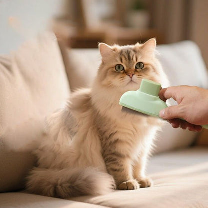 Brosse pour chat | AntiPoil90 - Happy Miaou