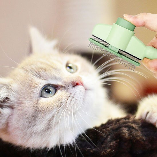 Brosse pour chat | AntiPoil90 - Happy Miaou
