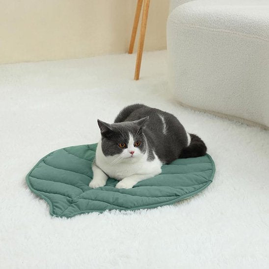 Coussin pour Chat | Ultra - Moelleux - Happy Miaou