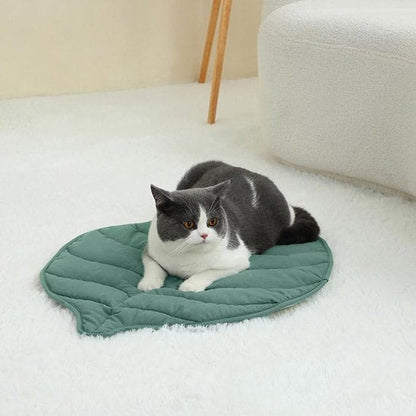 Coussin pour Chat | Ultra - Moelleux - Happy Miaou