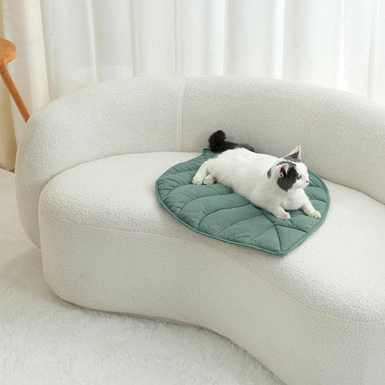 Coussin pour Chat | Ultra - Moelleux - Happy Miaou