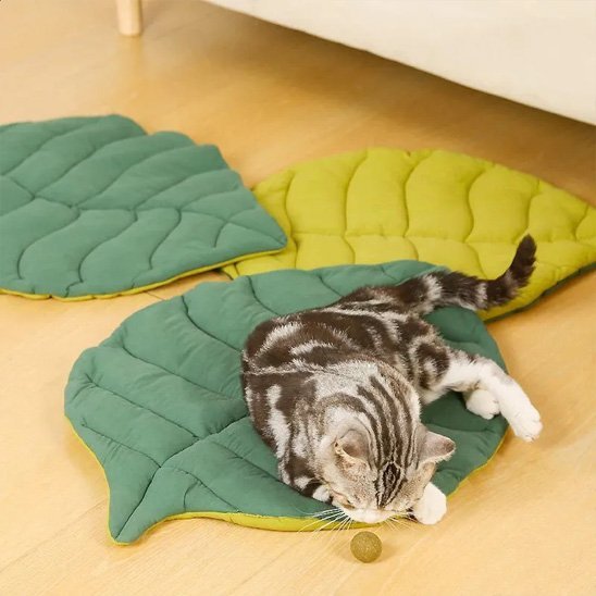 Coussin pour Chat | Ultra - Moelleux - Happy Miaou