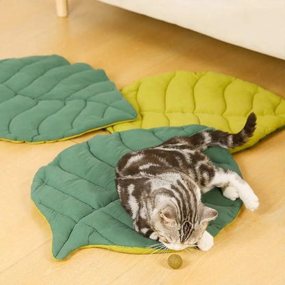 Coussin pour Chat | Ultra - Moelleux - Happy Miaou