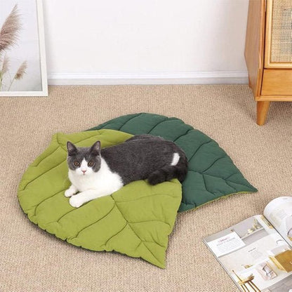 Coussin pour Chat | Ultra - Moelleux - Happy Miaou