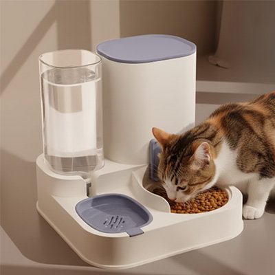 Distributeur de croquettes pour Chat caramel couleur bleu