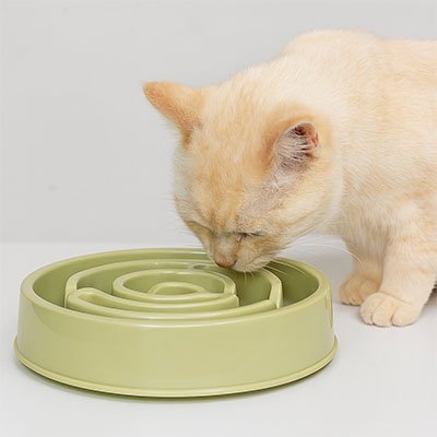 Gamelle anti glouton chat | SlowFeast - Happy Miaou