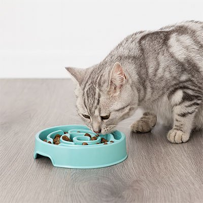 Gamelle anti glouton chat | SlowFeast - Happy Miaou