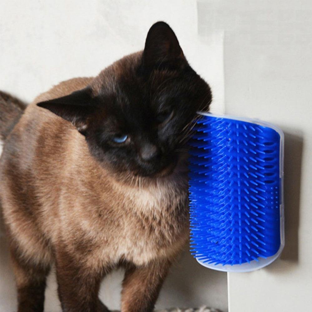 Grattoir Chat - PurrCornerGroomer™ - Bleu - Happy Miaou