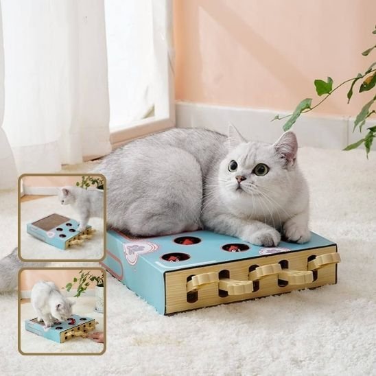 Griffoir chat | Design Protect - Happy Miaou