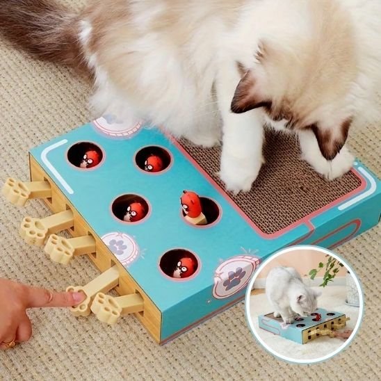 Griffoir chat | Design Protect - Happy Miaou