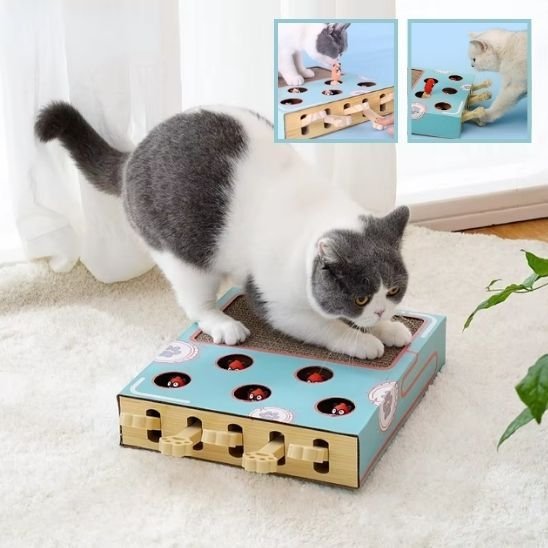 Griffoir chat | Design Protect - Happy Miaou