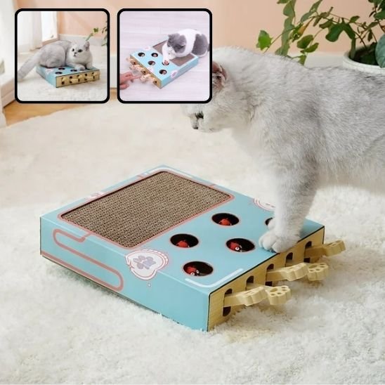 Griffoir chat | Design Protect - Happy Miaou