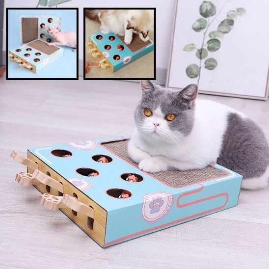 Griffoir chat | Design Protect - Happy Miaou