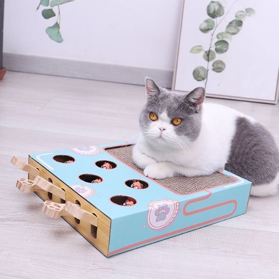 Griffoir chat | Design Protect - Happy Miaou