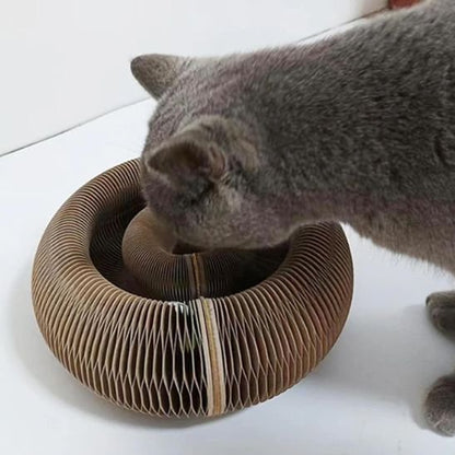 Griffoir pour chat | Circulaire Interactif - Happy Miaou