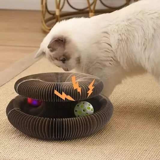 Griffoir pour chat | Circulaire Interactif - Happy Miaou