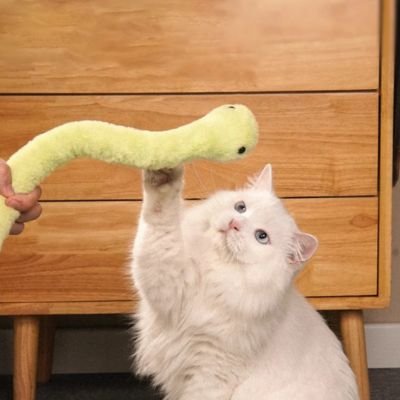 Jouet pour chat | Interactif - Happy Miaou